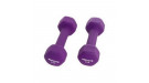 Неопреновые гантели Body Gym DB02 две 2кг